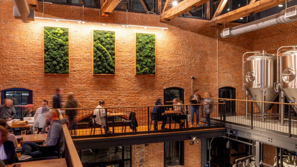 Moss Pure review: Stunning moss wall art that purifies air