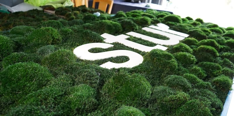 Moss Pure Custom Living Moss Wall
